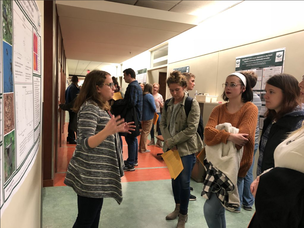 Screen Shot 2018-10-25 at 3.39.11 PM