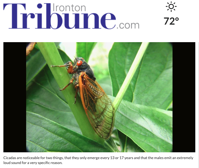 Screen Shot 2021-06-08 at 8.37.13 AM