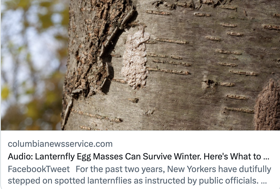 Screen Shot 2023-02-17 at 2.20.47 PM