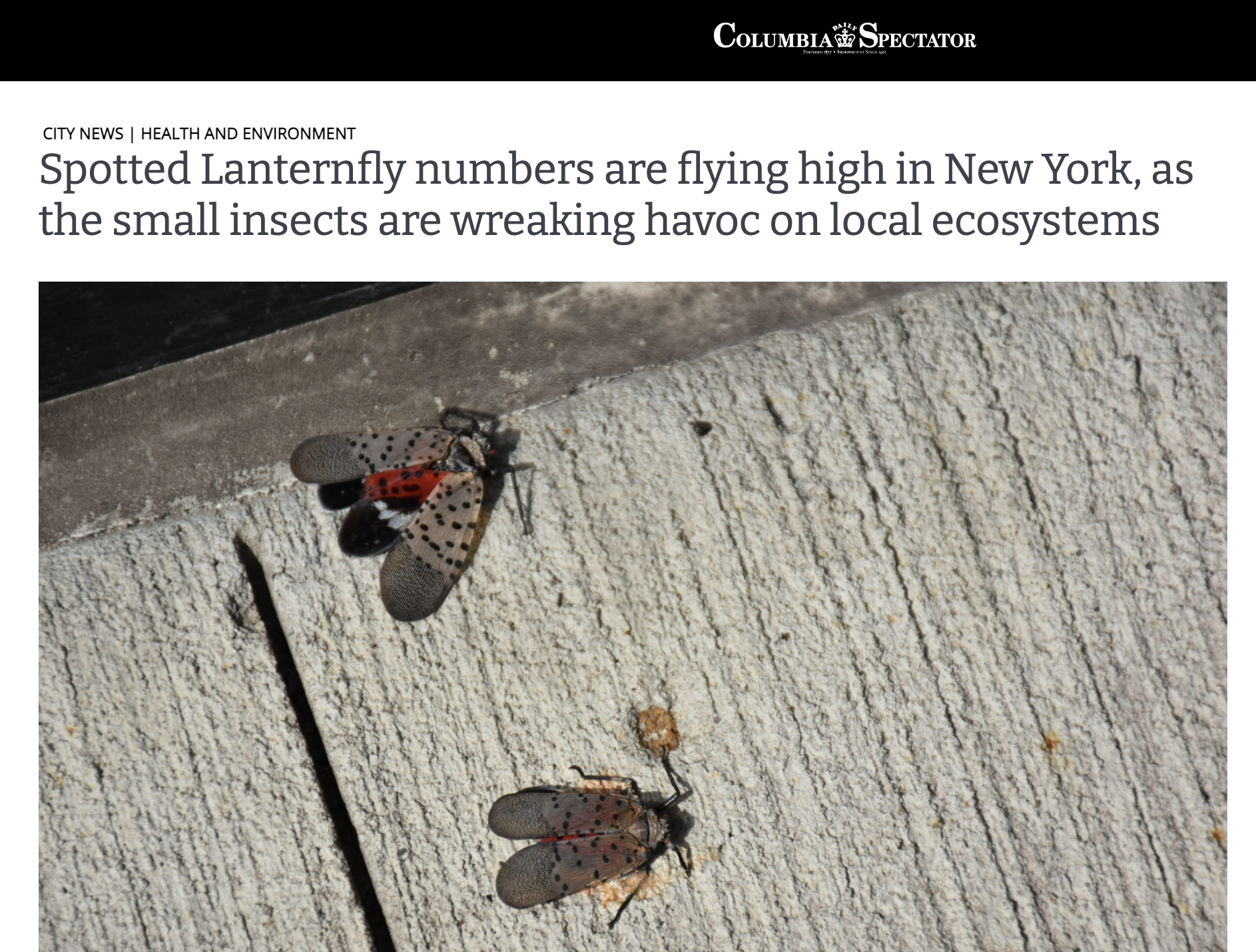 Screen Shot 2023-06-11 at 2.12.41 PM